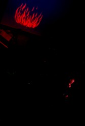 dsc_0249_s.jpg